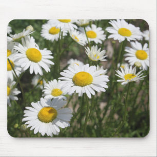 Summer daisy mousepad