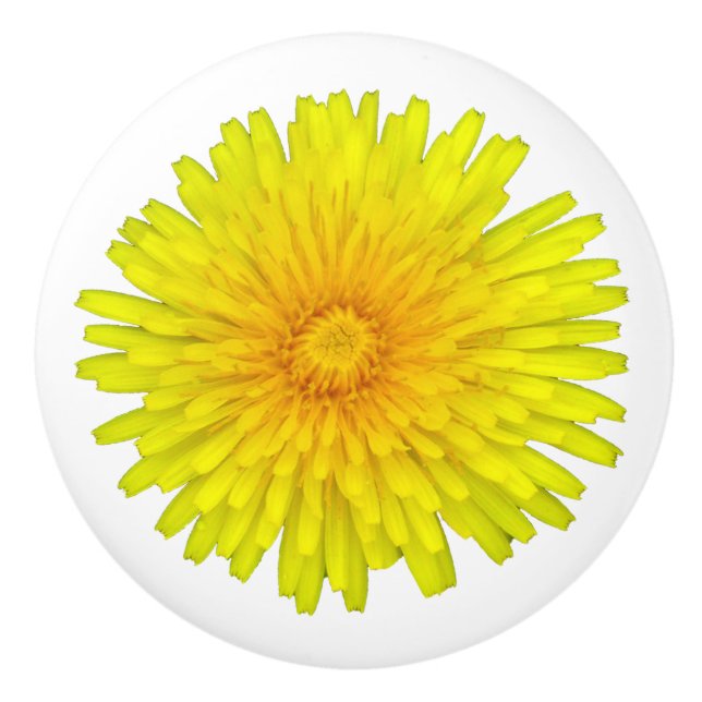 Summer Dandelion  Ceramic Knob (Front)