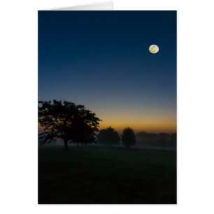 Summer Dawn With Moon