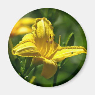 Summer Day Magnet