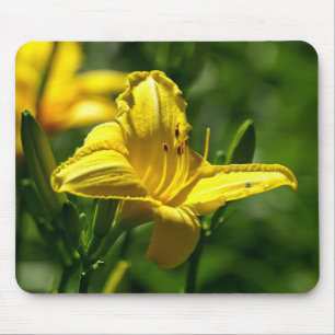 Summer Day Mouse Pad