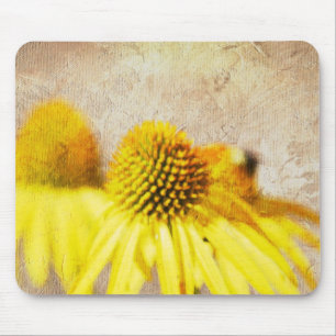 Summer Echinacea Flowers Mouse Pad