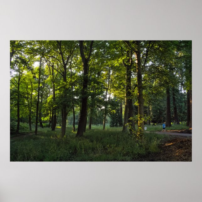 Summer Evening, Bute Park, Cardiff Poster (Front)