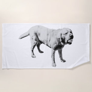 Summer Fetch Beach Towel