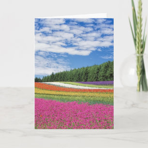 Summer Field Rows of Flowers Card