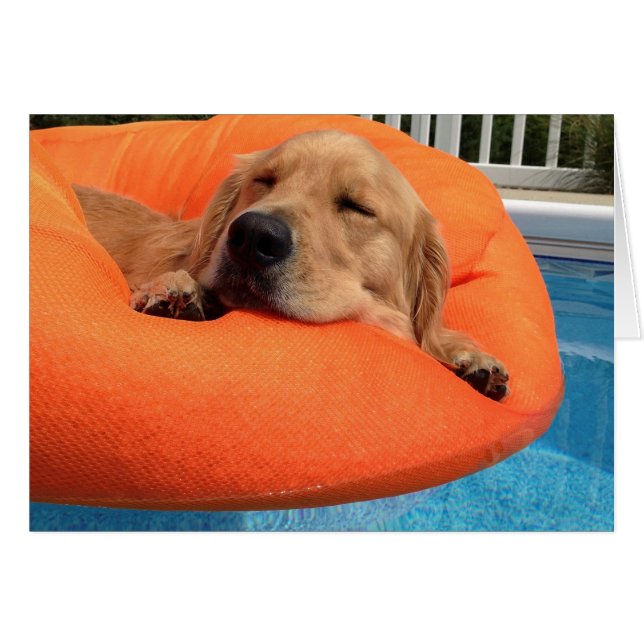 Summer Float (Front Horizontal)