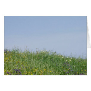 Summer Flower Meadow Card