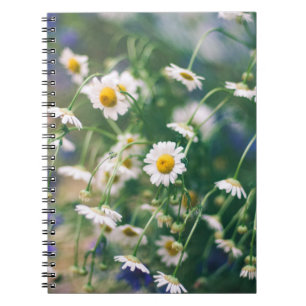 Summer flower pattern in green meadow with blue an notebook