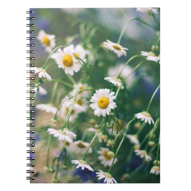 Summer flower pattern in green meadow with blue an notebook (Front)