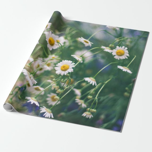 Summer flower pattern in green meadow with blue an wrapping paper (Unrolled)