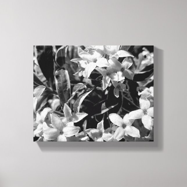Summer Flowers Canvas Print (Front)