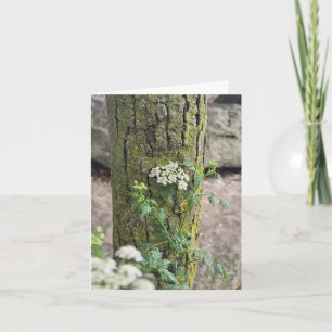 Summer flowers card