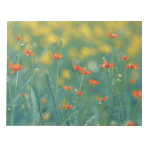 Summer Flowers (Floral Field) (Red Flowers) Notepad