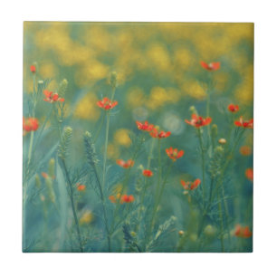 Summer Flowers (Floral Field) (Red Flowers) Tile