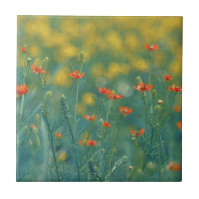 Summer Flowers (Floral Field) (Red Flowers) Tile (Front)