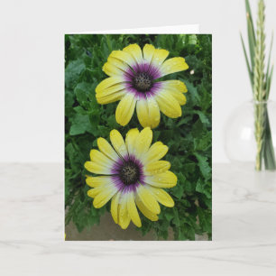 Summer flowers greeting card