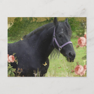 Summer Flowers Holiday Postcard