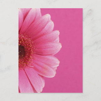 Summer Flowers Postcard