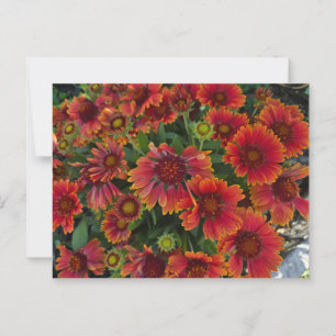 Summer flowers postcard