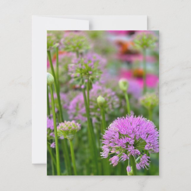Summer flowers RSVP card (Front)