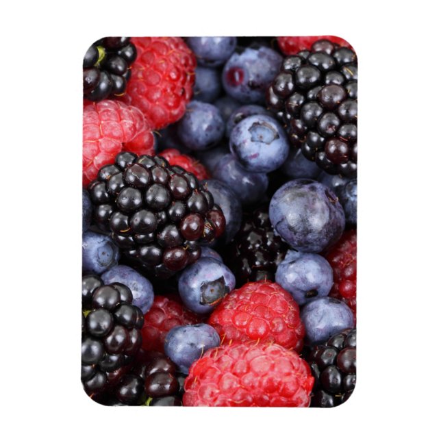 Summer Fruit Berries Magnet (Vertical)