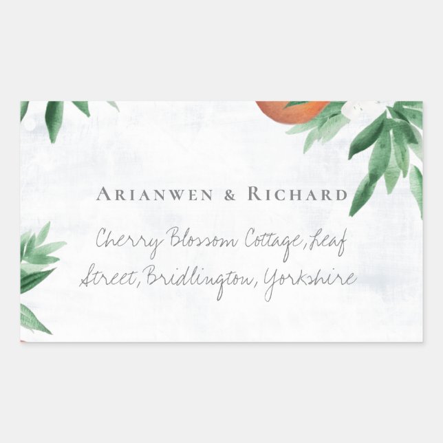 summer fruit return address sticker (Front)