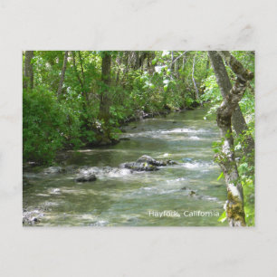 Summer Fun... Postcard