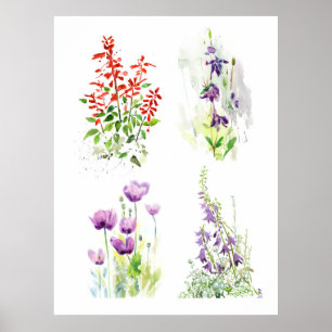 Summer Garden Flowers Four Watercolor Studies Poster