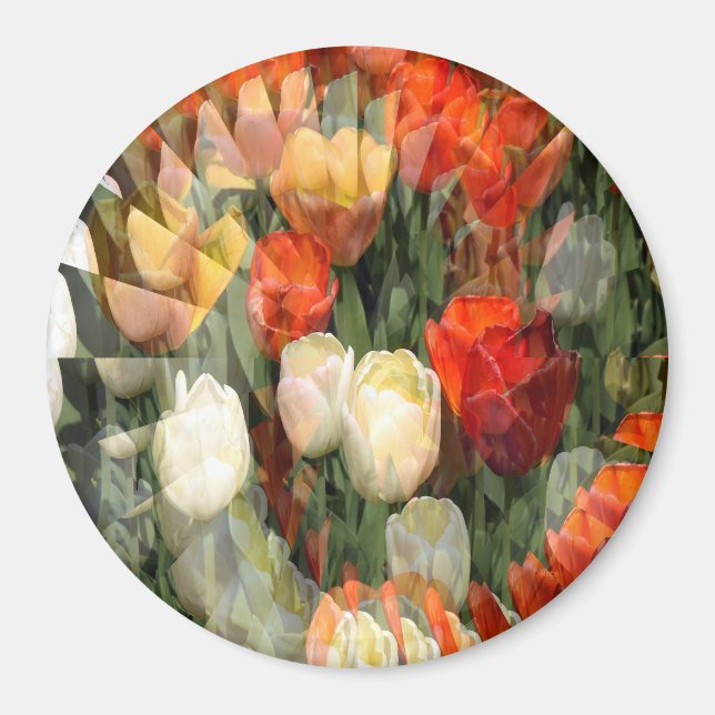 Summer Garden......... Magnet (Front)