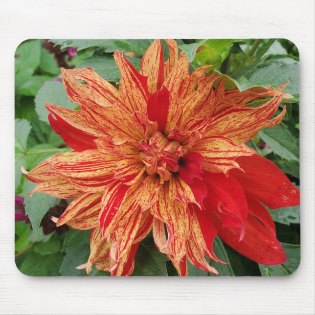 Summer garden mouse pad (Front)