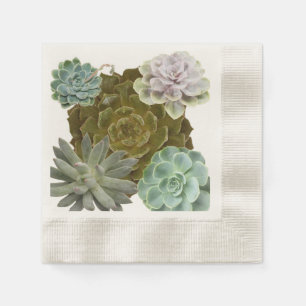 Summer Garden Wedding, Hens and Chicks, Succulents Napkin