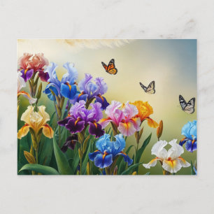 Summer Garden with Blooming Iris Flowers Postcard