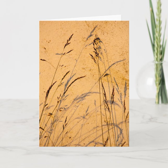 Summer Grasses And Shadows Card (Front)