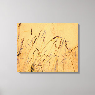 Summer Grasses And Shadows Postcard Poster Acrylic Canvas Print