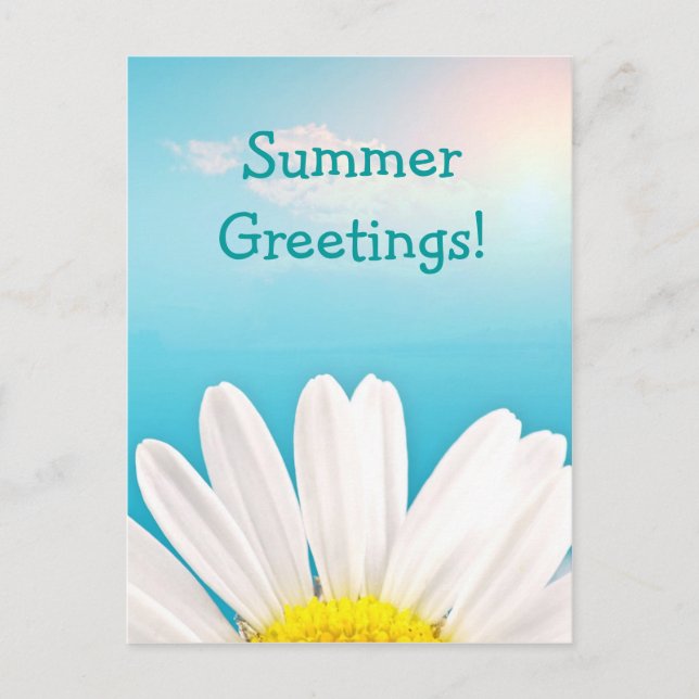 Summer Greetings! Postcard (Front)