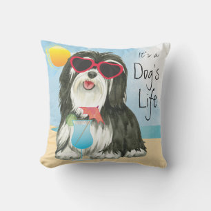Summer Havanese Cushion