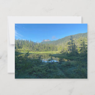 Summer Hike Through Lush Green Forest Postcard