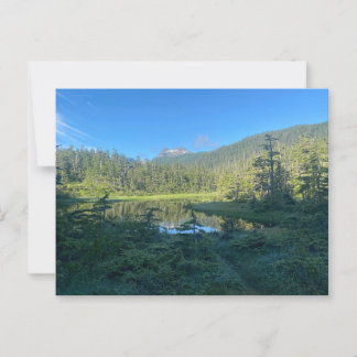 Summer Hike Through Lush Green Forest Postcard
