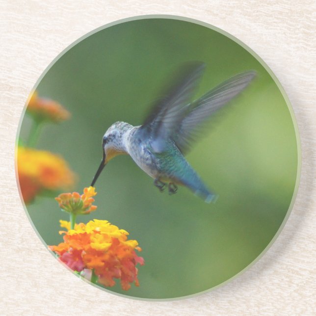 Summer Hummer Coaster (Front)