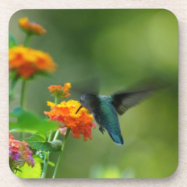 Summer Hummer Cork Coaster (Front)