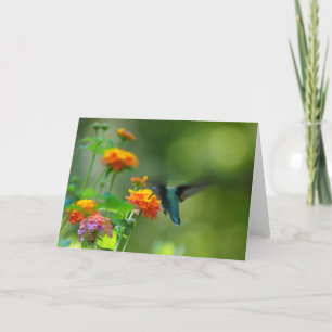Summer Hummer Greetings Card