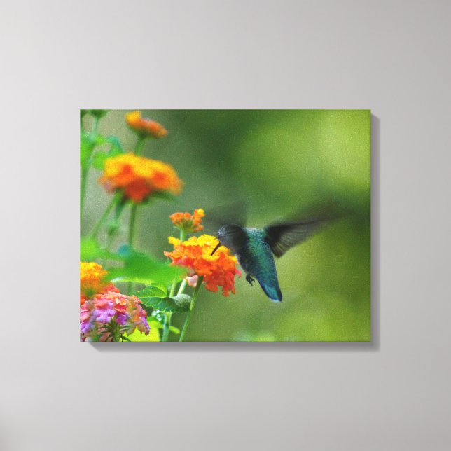 Summer Humming Canvas Print (Front)