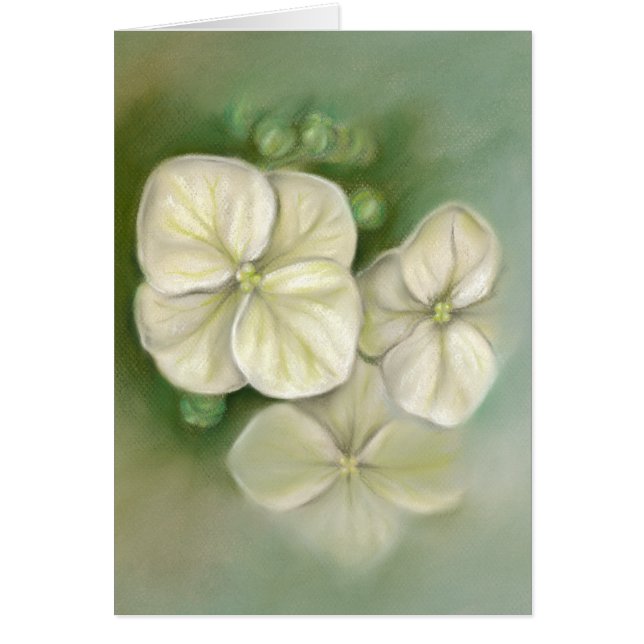 Summer Hydrangea Blossoms Pastel (Front)