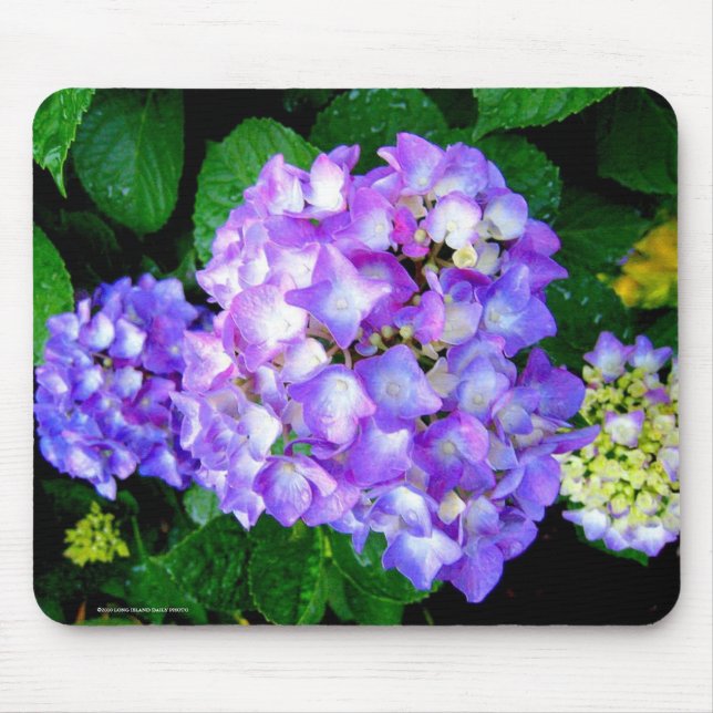 Summer Hydrangea Mouse Pad (Front)