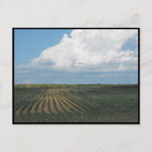 ~ Summer in Lancaster County ~ 34 Postcard