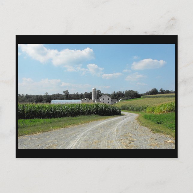 ~ Summer in Lancaster County ~ 64 Postcard (Front)