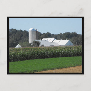 ~ Summer in Lancaster County ~ 70 Postcard