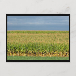 ~ Summer in Lancaster County ~ 82 Postcard