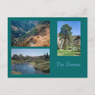 Summer in the Sierras Postcard