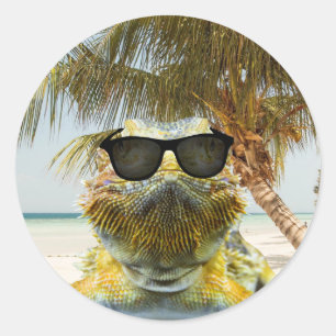 Summer is Coming Classic Round Sticker